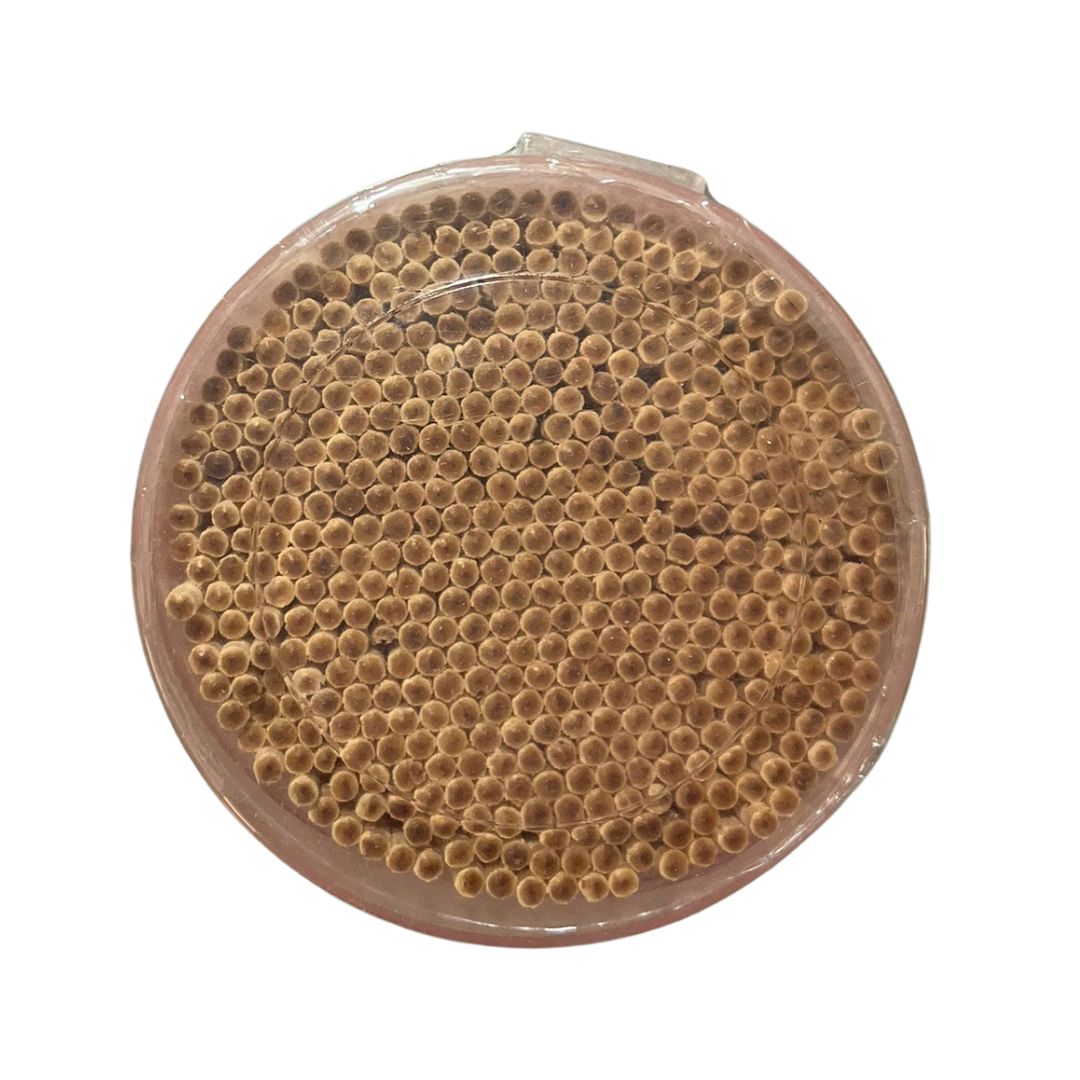 Petit Small Toothpicks 450Pcs 1P